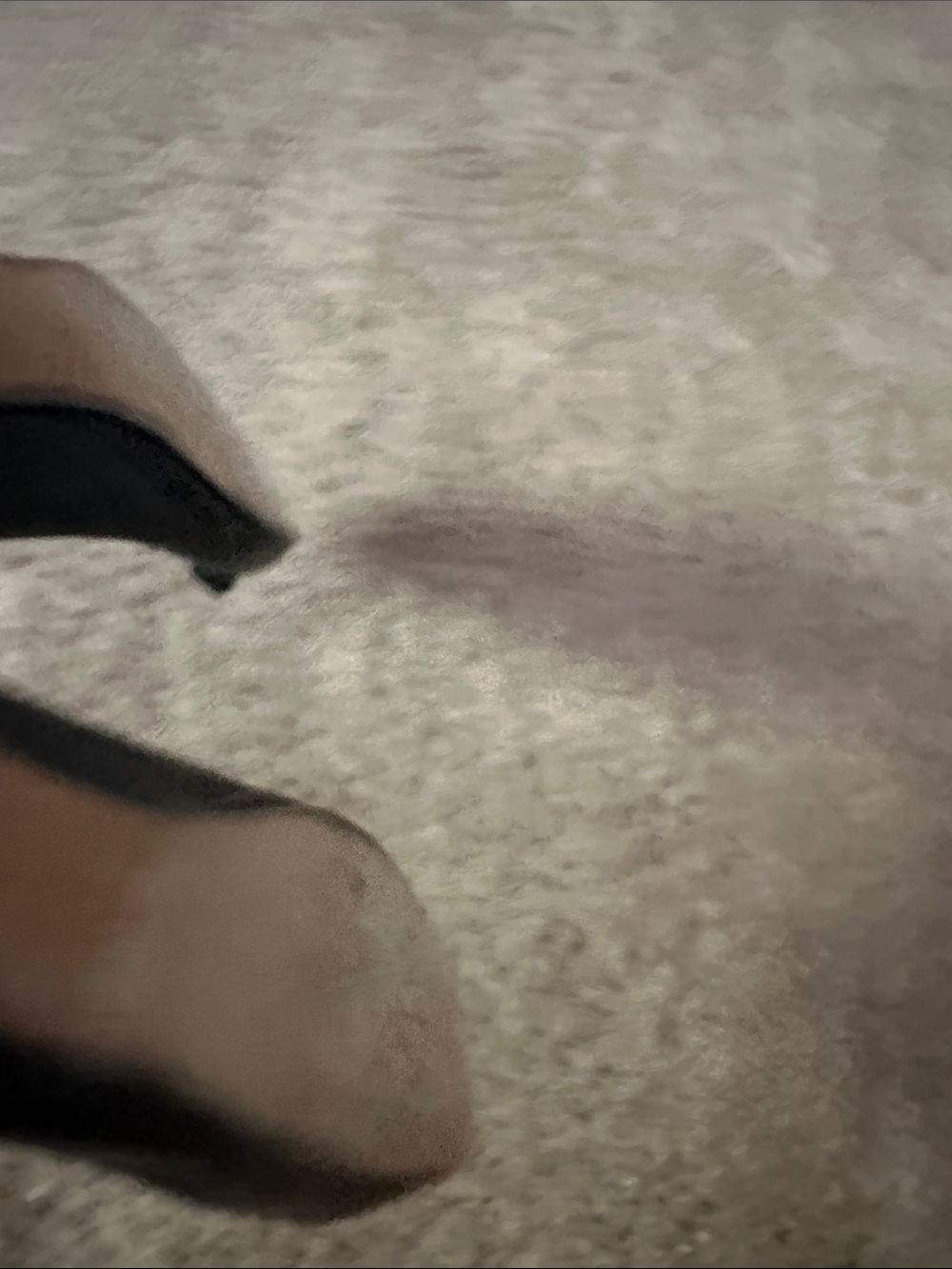 Salvatore Ferragamo Black Leather Vara Bow Flats with Gold Accent - Picture 5 of 7